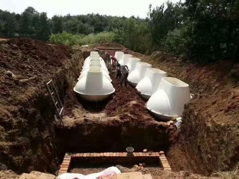 成功案例